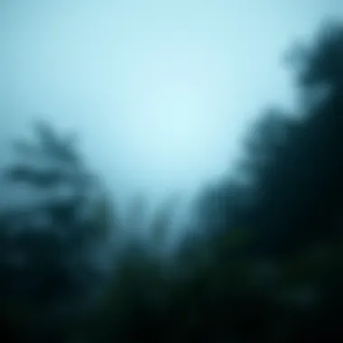 Magnificent 프로토승무패의 이해 및 전략 Magnificent 프로토승무패의 이해 및 전략