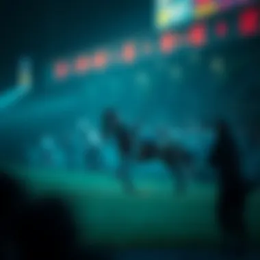 Magnificent 필리핀 로또 당첨번호 분석 및 전략