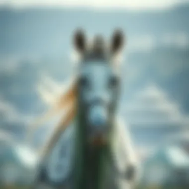 Magnificent 사기번호조회: 안전한 베팅을 위한 필수 가이드 Magnificent 사기번호조회: 안전한 베팅을 위한 필수 가이드