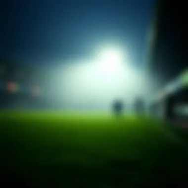 Notable 파워볼 홀짝: 전략과 통계 Notable 파워볼 홀짝: 전략과 통계