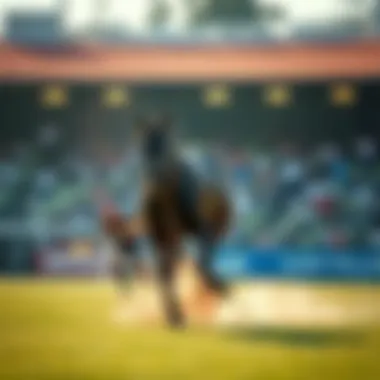 로또1062: 변화하는 복권 환경과 전략 분석 Introduction 로또1062: 변화하는 복권 환경과 전략 분석 Introduction