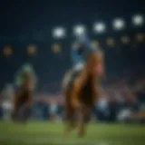 스포츠 보는 곳: 통합 가이드 Introduction